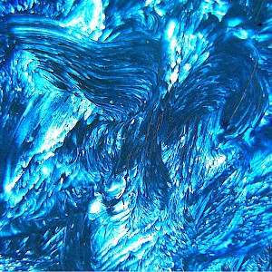 LES PRÉMICES DU BLEU LEUCATE
